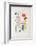 AF 1950 - Galerie Maeght-Joan Miro-Framed Collectable Print