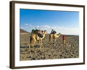 Afar Tribeswoman With Camels on Her Way Home, Near Lac Abbe, Republic of Djibouti, Africa-null-Framed Photographic Print