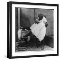 "Affected Modesty", 1901-Science Source-Framed Giclee Print