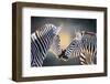 Affection-Janet Slater-Framed Photographic Print