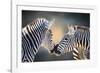 Affection-Janet Slater-Framed Photographic Print