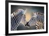 Affection-Janet Slater-Framed Photographic Print