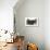 Affenpinscher 4 Together-null-Photographic Print displayed on a wall
