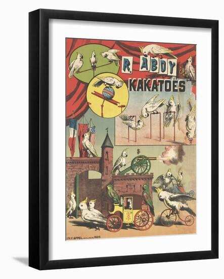 Affiche R.Abdy et ses kakatoës-null-Framed Giclee Print