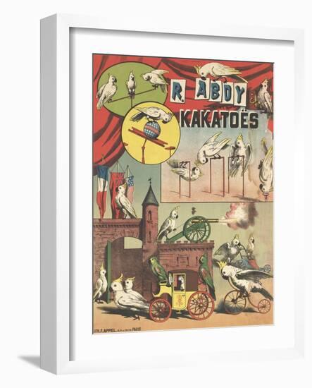 Affiche R.Abdy et ses kakatoës-null-Framed Giclee Print