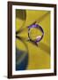 Affix-Heidi Westum-Framed Photographic Print