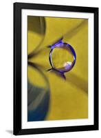 Affix-Heidi Westum-Framed Photographic Print