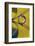 Affix-Heidi Westum-Framed Photographic Print