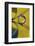 Affix-Heidi Westum-Framed Photographic Print