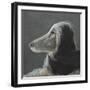 Afghan at Speed, Grey-Lincoln Seligman-Framed Giclee Print