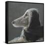 Afghan at Speed, Grey-Lincoln Seligman-Framed Stretched Canvas