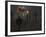 Afghan Boy Runs with Balloons to Join His Friends in Dusty Alley in Kabul, Afghanistan-null-Framed Photographic Print