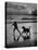 Afghan Dog Roaming across Beach with Girl at Sundown, During Preparation for Westminister Show-George Silk-Stretched Canvas