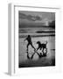 Afghan Dog Roaming across Beach with Girl at Sundown, During Preparation for Westminister Show-George Silk-Framed Photographic Print