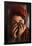 Afghan Girl-Steve Mccurry-Framed Poster