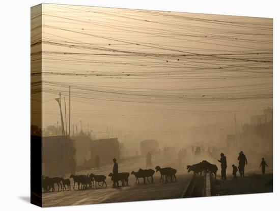 Afghan Herders Lead Their Livestodk Across a Road in Kabul, Afghanistan, Monday, Oct 9, 2006-Rodrigo Abd-Stretched Canvas