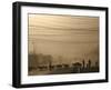 Afghan Herders Lead Their Livestodk Across a Road in Kabul, Afghanistan, Monday, Oct 9, 2006-Rodrigo Abd-Framed Photographic Print