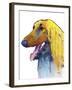 Afghan Hound 2-Marlene Watson-Framed Giclee Print