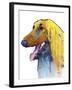 Afghan Hound 2-Marlene Watson-Framed Giclee Print