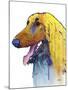 Afghan Hound 2-Marlene Watson-Mounted Giclee Print