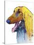 Afghan Hound 2-Marlene Watson-Stretched Canvas