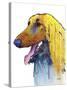 Afghan Hound 2-Marlene Watson-Stretched Canvas