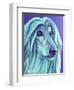 Afghan Hound - Aqua-Dawgart-Framed Premium Giclee Print