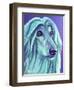 Afghan Hound - Aqua-Dawgart-Framed Giclee Print