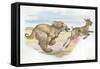 Afghan Hound Canis Lupus Familiaris Chasing Goat-null-Framed Stretched Canvas