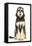 Afghan Hound-null-Framed Stretched Canvas