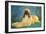 Afghan Hound-null-Framed Art Print