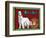 Afghan Hound-Cathy Cute-Framed Giclee Print