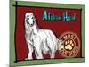 Afghan Hound-Cathy Cute-Mounted Giclee Print