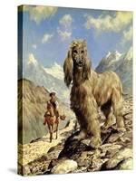 Afghan Hound-Eric Tansley-Stretched Canvas
