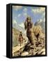 Afghan Hound-Eric Tansley-Framed Stretched Canvas