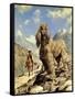 Afghan Hound-Eric Tansley-Framed Stretched Canvas