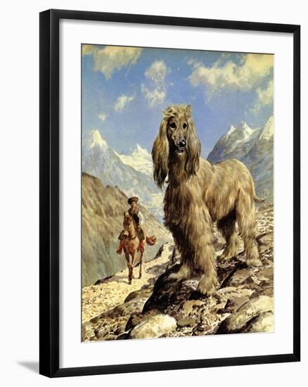 Afghan Hound-Eric Tansley-Framed Giclee Print