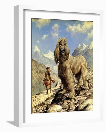 Afghan Hound-Eric Tansley-Framed Giclee Print