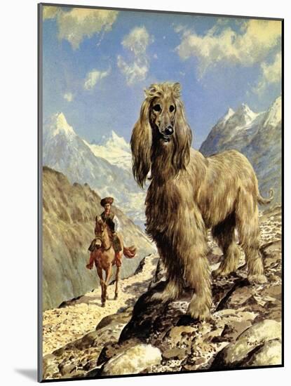 Afghan Hound-Eric Tansley-Mounted Giclee Print