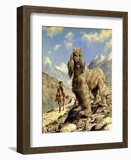 Afghan Hound-Eric Tansley-Framed Giclee Print