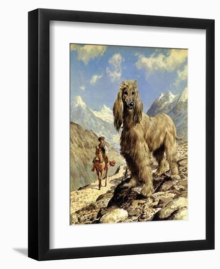 Afghan Hound-Eric Tansley-Framed Giclee Print