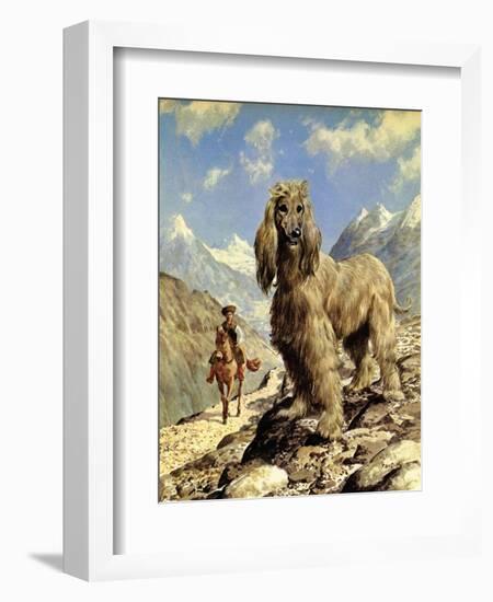 Afghan Hound-Eric Tansley-Framed Giclee Print