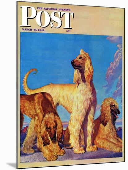 "Afghan Hounds," Saturday Evening Post Cover, March 18, 1944-Rutherford Boyd-Mounted Giclee Print