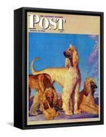 "Afghan Hounds," Saturday Evening Post Cover, March 18, 1944-Rutherford Boyd-Framed Stretched Canvas