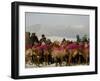 Afghan Men Look at Sheep with Their Backs Painted in Red, Kabul, Afghanistan, December 28, 2006-Rafiq Maqbool-Framed Premium Photographic Print