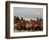 Afghan Men Look at Sheep with Their Backs Painted in Red, Kabul, Afghanistan, December 28, 2006-Rafiq Maqbool-Framed Photographic Print