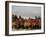 Afghan Men Look at Sheep with Their Backs Painted in Red, Kabul, Afghanistan, December 28, 2006-Rafiq Maqbool-Framed Photographic Print