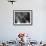 Afghan Men Take their Breakfast in a Tea Shop in Kabul, Afghanistan-null-Framed Photographic Print displayed on a wall