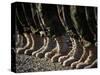 Afghan National Army Air Corp Soldiers Training in Kandahar, Afghanistan-null-Stretched Canvas