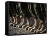 Afghan National Army Air Corp Soldiers Training in Kandahar, Afghanistan-null-Framed Stretched Canvas